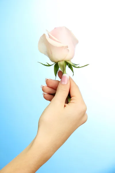 Mooie vrouw hand met roos, op blauwe achtergrond — Stockfoto