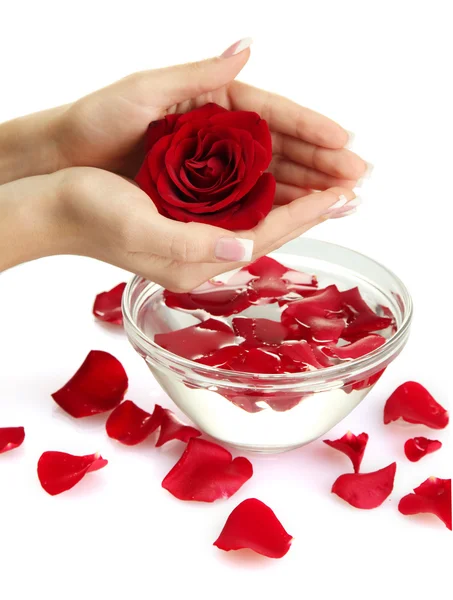 Woman hands with glass bowl of water with petals, isolated on white — Stock Photo, Image