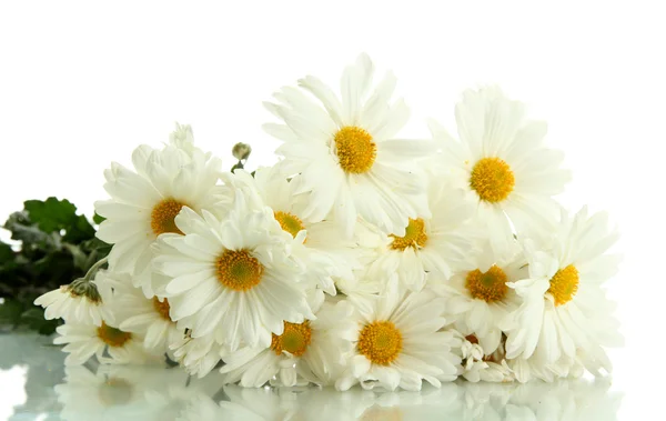 Букет красивых ромашки цветы, изолированные на белом — стоковое фото
