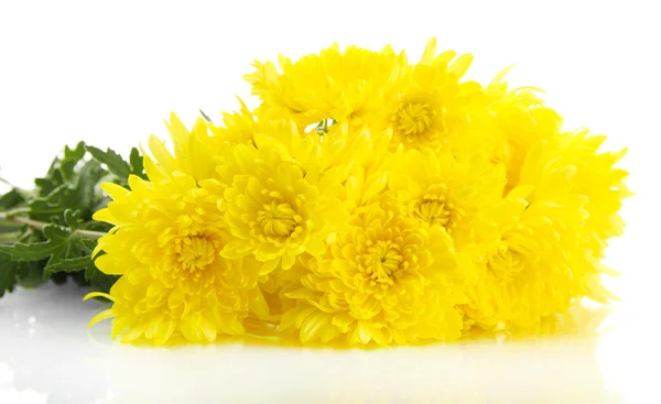 Ramo de hermosas flores de crisantemo, aisladas en blanco — Foto de Stock