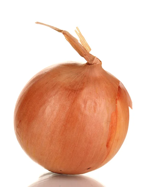 Ripe onion isolated on white — Stock Photo, Image