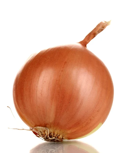 Ripe onion isolated on white — Stock Photo, Image