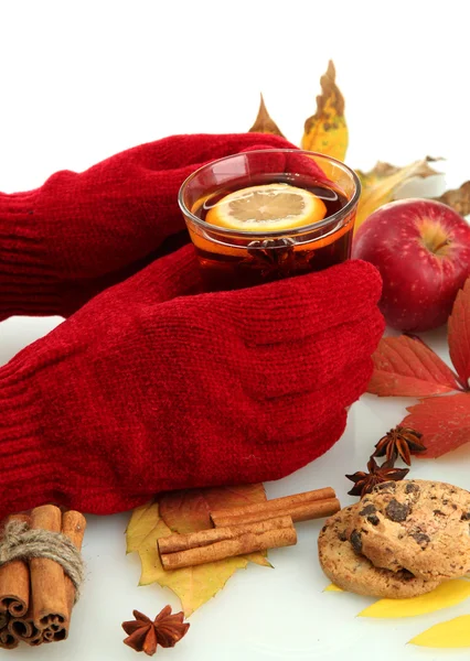 Manos sosteniendo taza de bebida caliente y hojas de otoño, aisladas en blanco —  Fotos de Stock