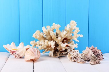 kabukları üzerinde mavi ahşap zemin üzerinde ahşap masa dekoru