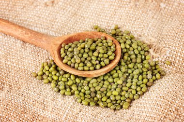 mAŞ fasulyesi üzerinde çul zemin üzerine tahta kaşık