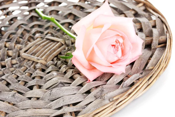 Beautiful rose on wicker mat isolated on white — Stock Photo, Image