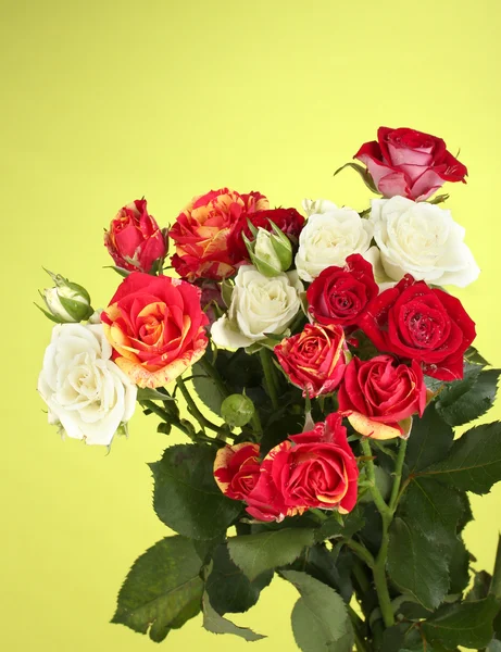 Bouquet of beautiful roses on green background close-up — Stock Photo, Image