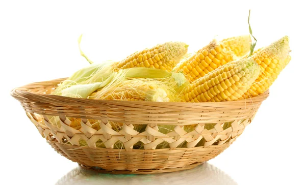 Fresh corn in basket, isolated on white — Stock Photo, Image