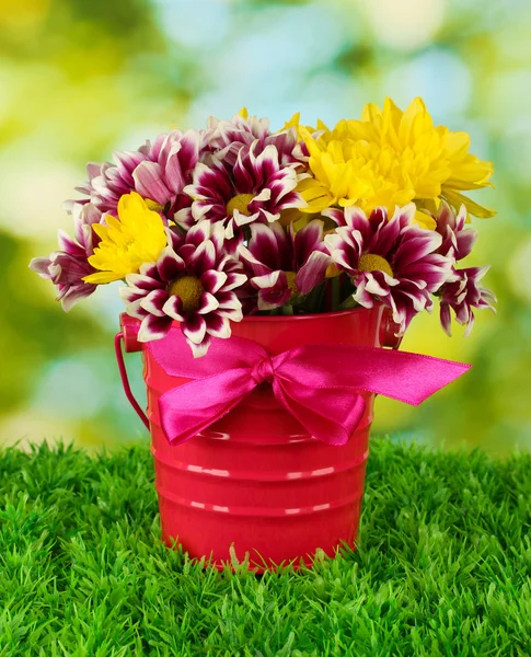 Красивый букет хризантем в ярком цветном ведре на зеленом фоне — стоковое фото