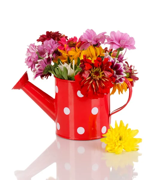 Red watering can of peas with flowers isolated on white — Stock Photo, Image