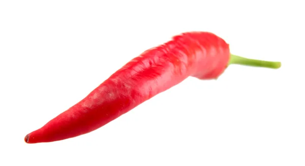 Red hot chili peper, geïsoleerd op wit — Stockfoto