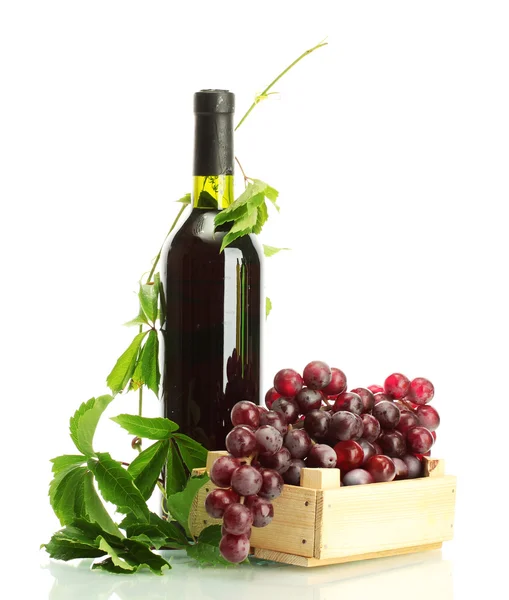 Láhev vína s hrozny izolovaných na bílém — Stock fotografie