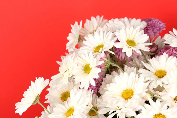 Bouquet of daisies on the color background — Stock Photo, Image