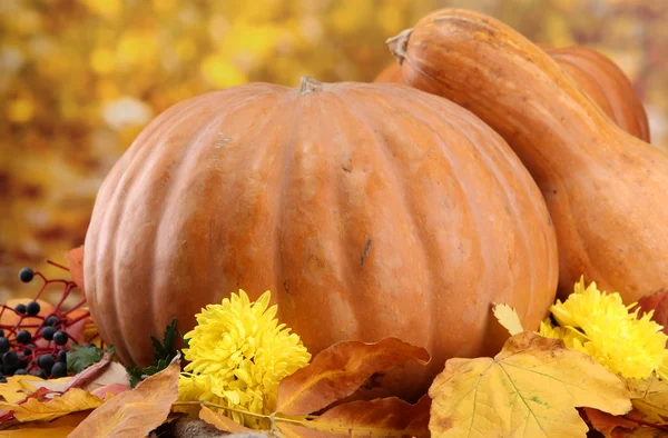 Kürbisse und Herbstblätter, auf gelbem Hintergrund — Stockfoto