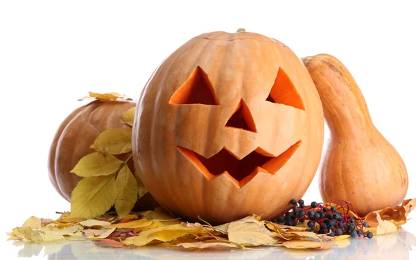 Zucche di Halloween e foglie autunnali, isolate su bianco — Foto Stock