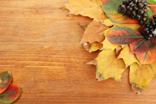 Jasny jesień liści i dzikie owoce jagodowe, na tle drewniane — Zdjęcie stockowe