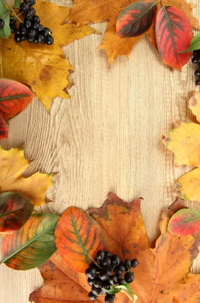 Heldere herfstbladeren en wilde bessen, op houten achtergrond — Stockfoto