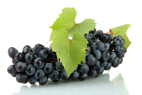 Uvas dulces maduras aisladas en blanco —  Fotos de Stock