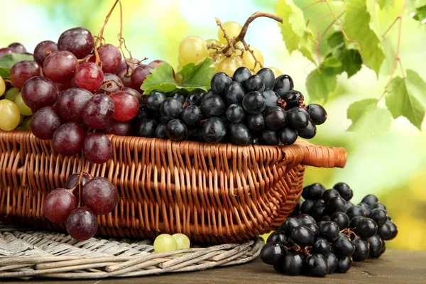 Assortment of ripe sweet grapes in basket, on green background — Stock Photo, Image