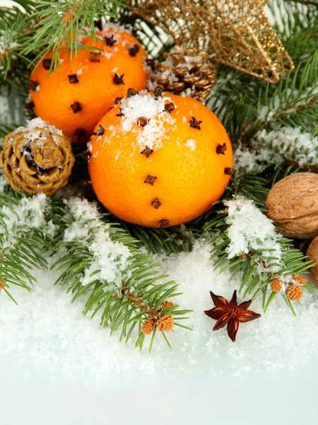 Kerstmis samenstelling met sinaasappels en fir tree, geïsoleerd op wit — Stockfoto