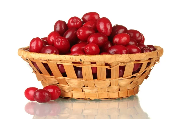Свіжі карнизні ягоди в плетеному кошику ізольовані на білому — стокове фото