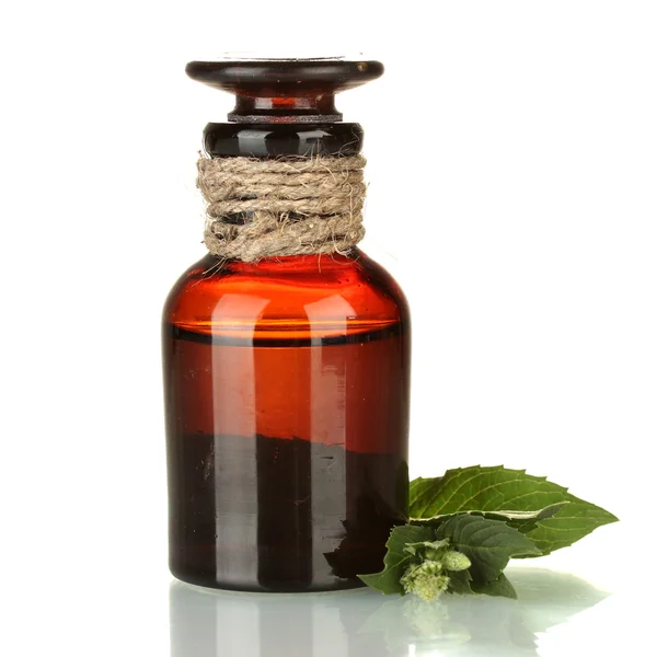 Aceite esencial y menta aislados en blanco — Foto de Stock