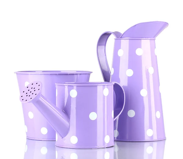 Purple watering can and buckets with white polka-dot isolated on white — Stock Photo, Image