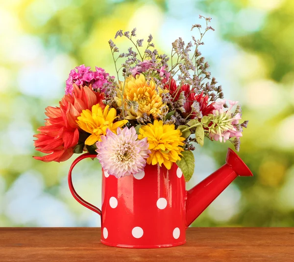 Red watering can with white polka-dot with flowers on green background — Stock Photo, Image