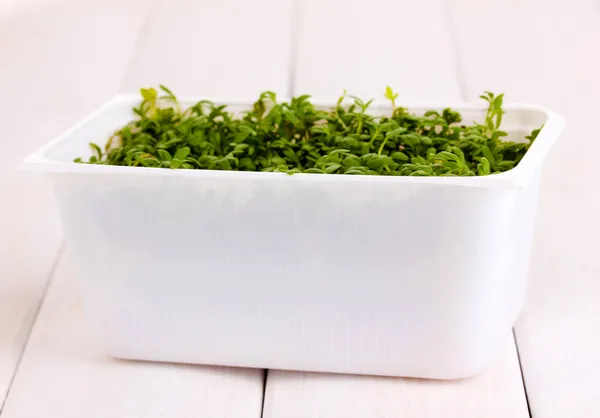 Fresh garden cress in white plastic box on wooden table — Stock Photo, Image