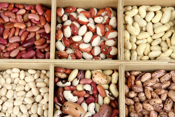 Diversos frijoles en secciones de caja de madera de cerca — Foto de Stock