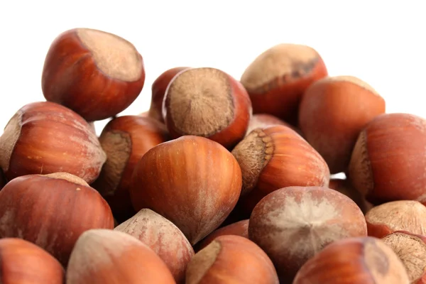 Chutné lískové ořechy, izolované na bílém — Stock fotografie
