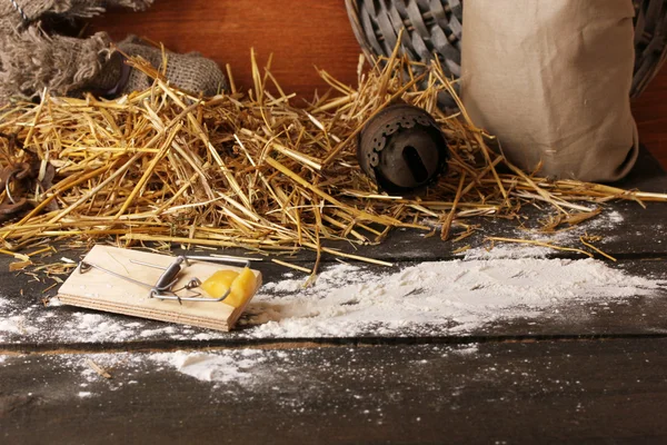 Mousetrap with a piece of cheese in barn on wooden background Royalty Free Stock Photos