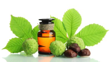 ilaç şişesi ile kestane ve yaprakları, üzerinde beyaz izole