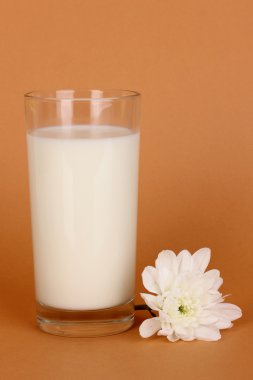 taze yeni süt kahverengi zemin üzerine beyaz çiçekli