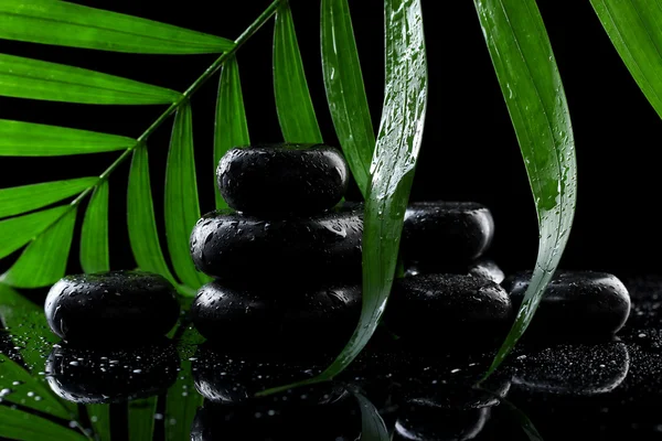 Spa stones with drops and green palm leaf on black background — Stock Photo, Image