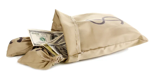 Bolsas con dinero aislado en blanco —  Fotos de Stock