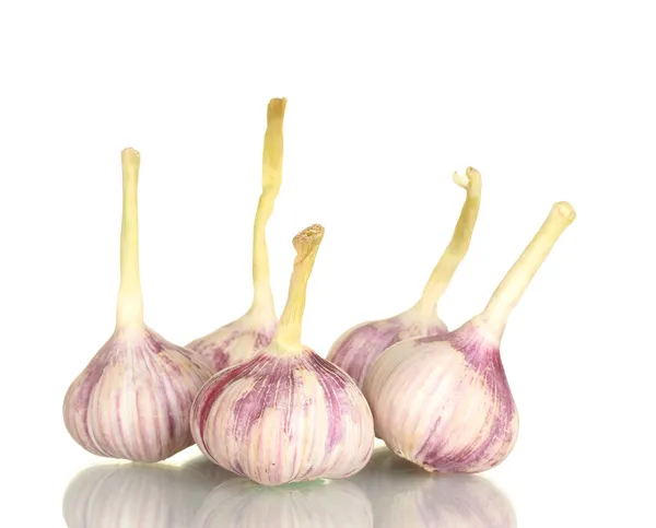 Young garlic isolated on white background — Stock Photo, Image