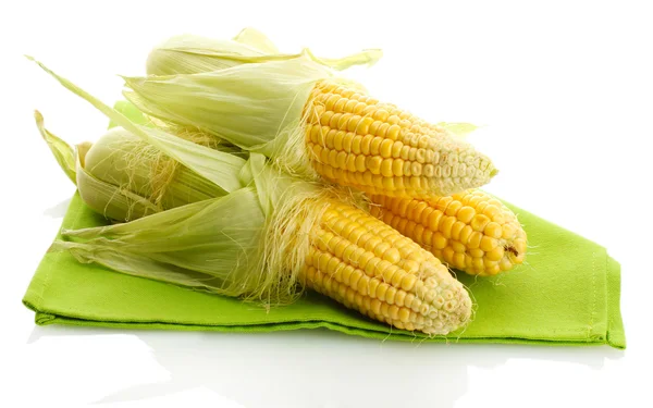 Fresh corn, isolated on white — Stock Photo, Image