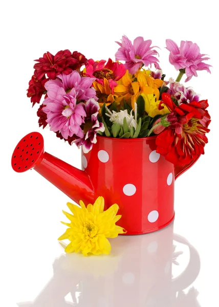 Czerwona konewka grochu z kwiaty na białym tle — Zdjęcie stockowe