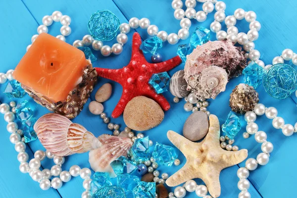 Decor of seashells close-up on blue wooden table — Stock Photo, Image