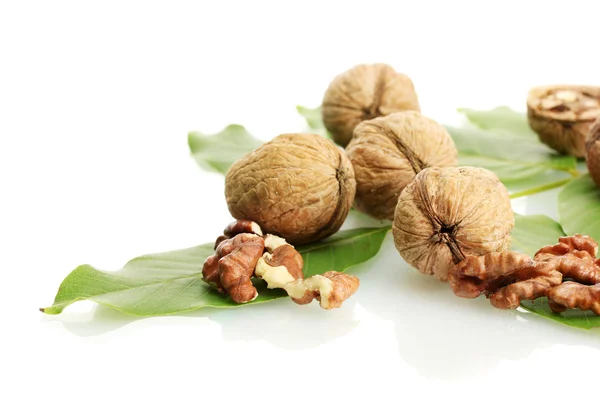 Walnuts with green leaves, isolated on white — Stock Photo, Image