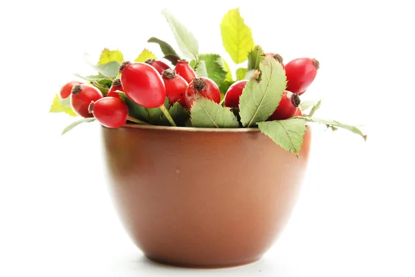 Ripe hip roses with leaves in cup, isolated on white — Stock Photo, Image