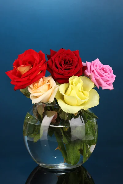 Vackra rosor i vas på blå bakgrund — Stockfoto