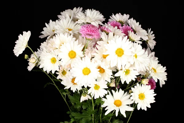 bouquet of daisies isolated on black