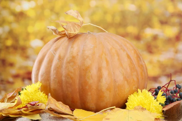 Pumpkin and autumn leaves, on yellow background — Stock Photo, Image