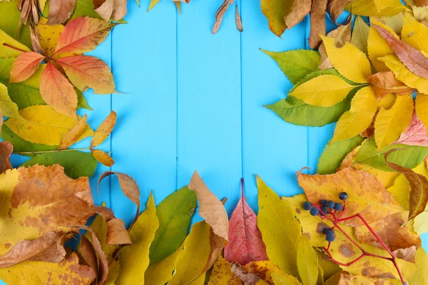 Heldere Herfstbladeren op blauwe houten plank achtergrond — Stockfoto