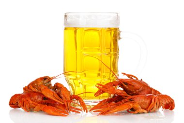 lezzetli haşlanmış crayfishes ve üzerinde beyaz izole bira