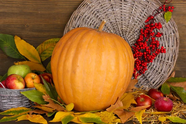 Excellent autumn still life with pumpkin on wooden table on wooden background — Stock Photo, Image