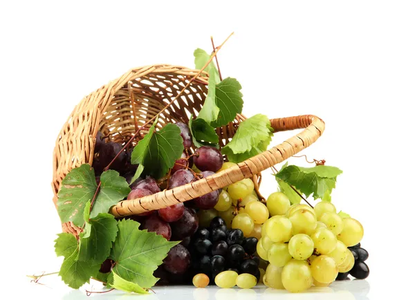 Sortimento de uvas doces maduras em cesta, isoladas em branco — Fotografia de Stock