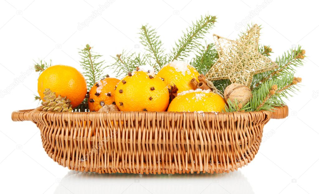 christmas composition in basket with oranges and fir tree, isolated on white